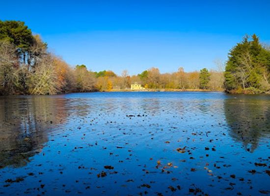 delaware/killens-pond-state-park/attraction/abbott-s-mill-nature-center-of-delaware-nature-society