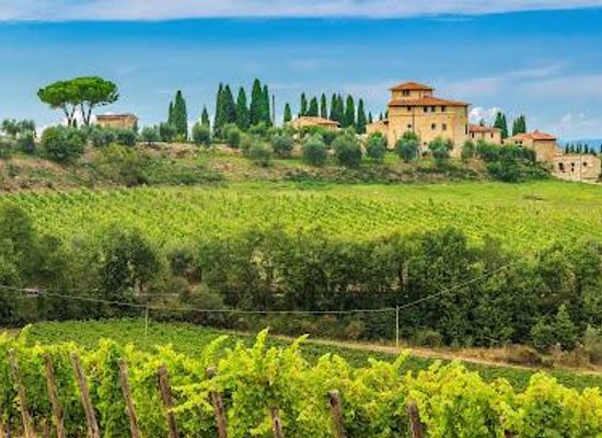 italy/florence/attraction/tuscan-wine-tours-with-angie