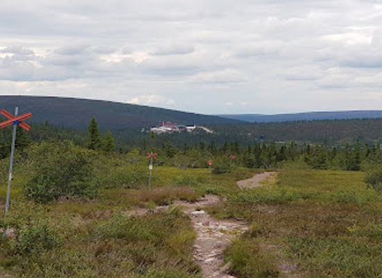 sweden/salen/attraction/salens-snoskotersafari-ab
