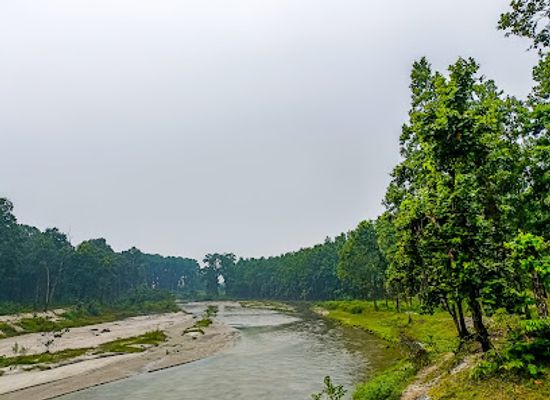 india/siliguri/attraction/fafri-view-point