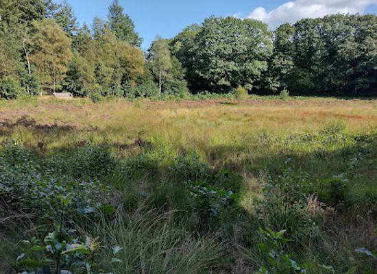 netherlands/drenthe/attraction/gletsjerkuil