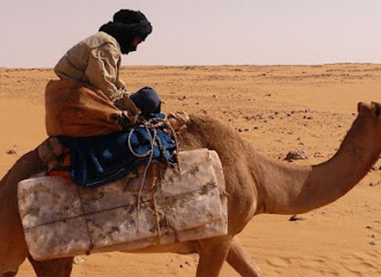 mali/timbuktu/attraction/salt-mining-taoudani