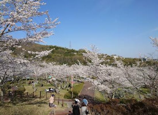 japan/kyoto/attraction/settsukyo-park