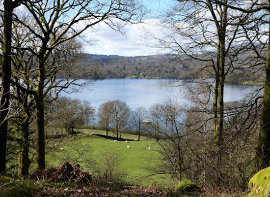united-kingdom/lake-district-national-park/attraction/stagshaw-gardens