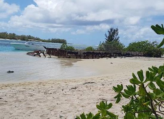 mauritius/trou-aux-biches/attraction/flat-island