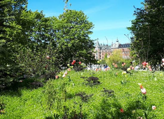 sweden/stockholm-archipelago/attraction/evenemangsparken-sodra-djurgarden
