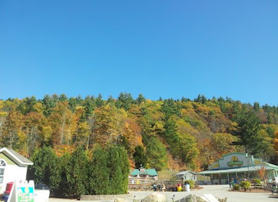 vermont/essex-county/attraction/story-land