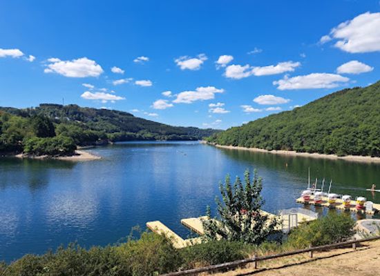 luxembourg/upper-sure-natural-park/attraction/floating-bridge-de-lultzhausen