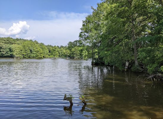 delaware/trap-pond-state-park/attraction/trap-pond-boat-rental