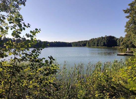 estonia/polva-county/attraction/kiidjarve-park