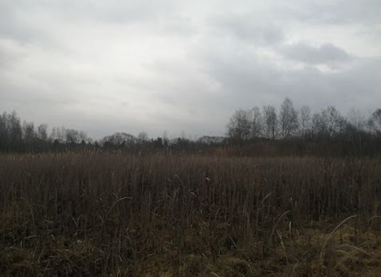 slovakia/poprad/attraction/machaon-raselinisko-svetoveho-vyznamu