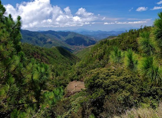 philippines/luzon/attraction/mt-pulag-protected-landscape