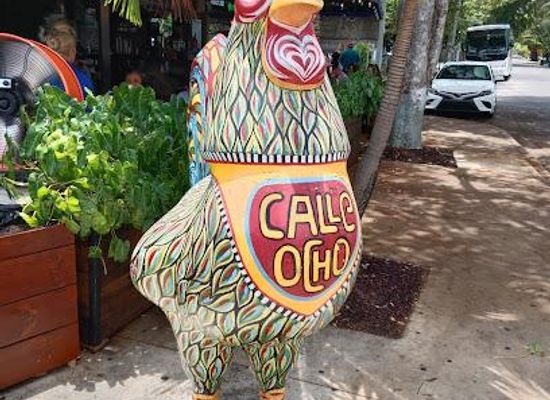 florida/miami/attraction/havana-rooster