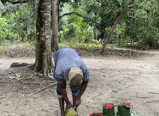 tanzania/zanzibar-island/attraction/to-the-hill-kidichi-spice-farms