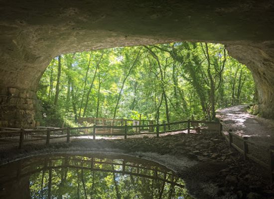 missouri/bootheel/attraction/cave-vineyard
