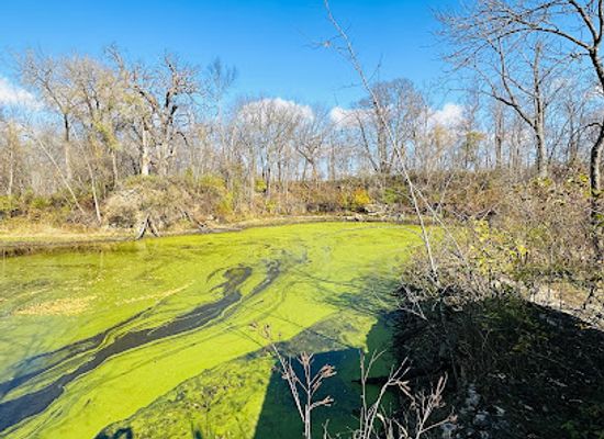 iowa/northeast-iowa/attraction/bird-observation-blind