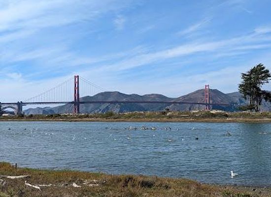 california/bay-area/attraction/crissy-field-marsh