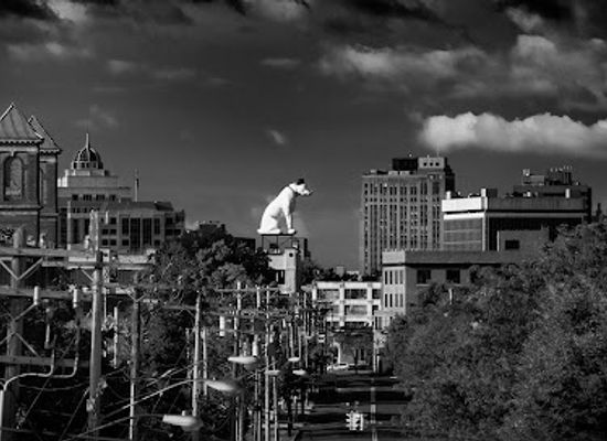 new-york/albany/attraction/world-s-largest-nipper-statue