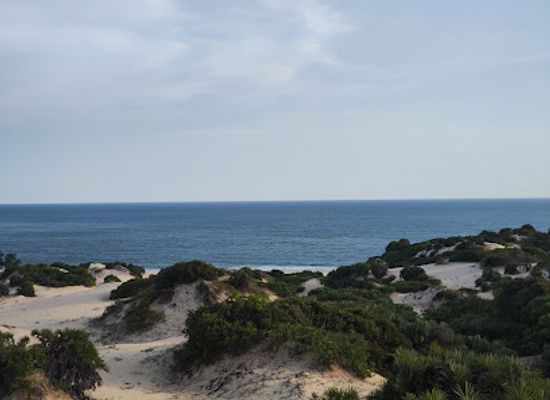 kenya/lamu/lamu-town/attraction/shela-dunes