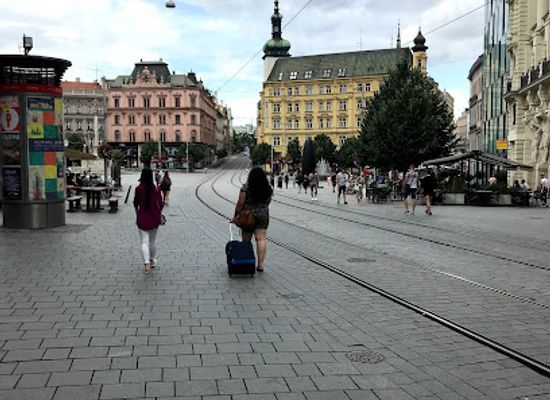 czechia/brno/attraction/papilonia-motyli-dum-brno