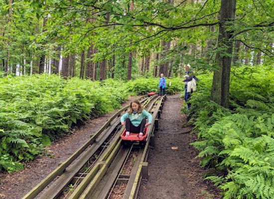 united-kingdom/north-east-england/attraction/broom-house-farm-forest-adventure