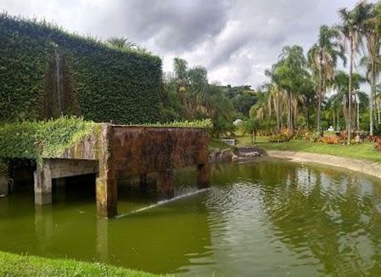 brazil/planalto-atlantico/attraction/jardim-botanico-de-jundiai