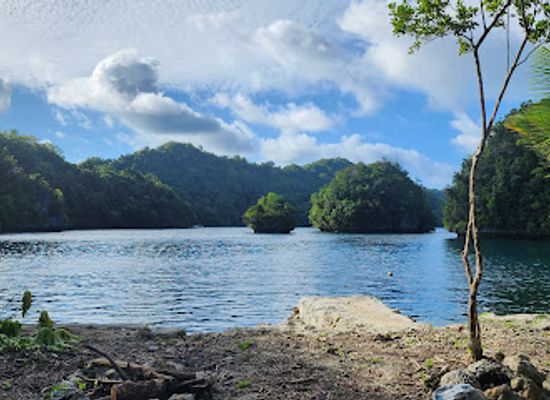 palau/ngeremdiu/attraction/ngermalk-trail