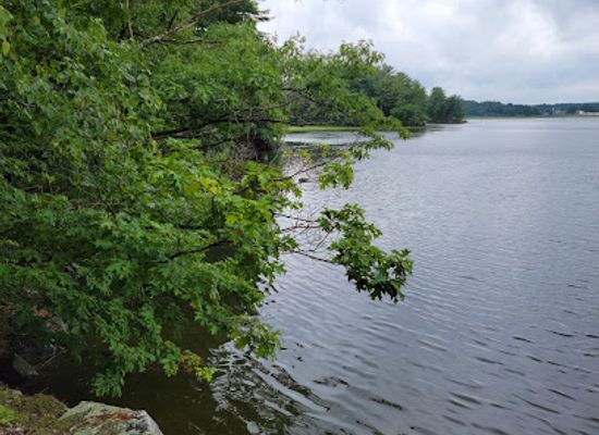 new-hampshire/seacoast/attraction/urban-forestry-center