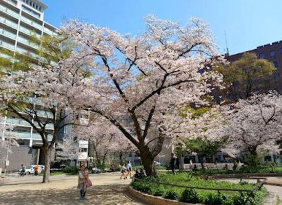 japan/kinki-kansai/attraction/horie-park
