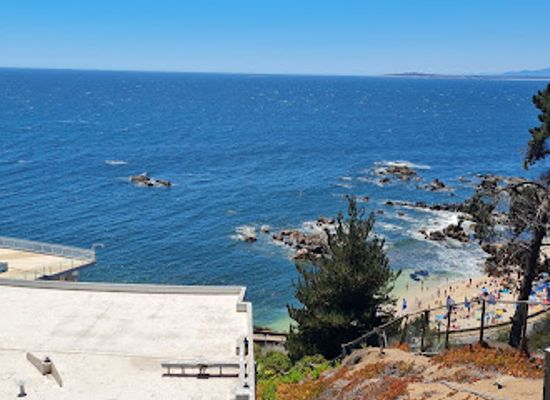 chile/vina-del-mar/concon/attraction/caleta-higuerillas