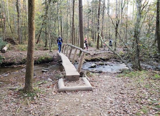 tennessee/great-smoky-mountains/attraction/little-greenbrier-school