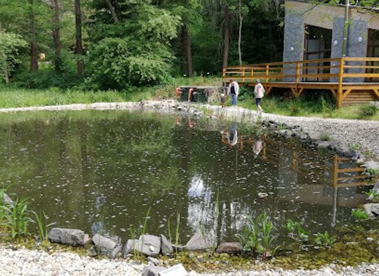slovakia/gemer/attraction/arboretum-kysihybel