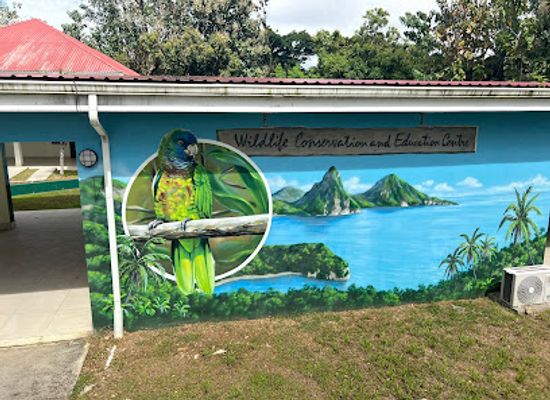 saint-lucia/castries-quarter/attraction/iyanola-zoo