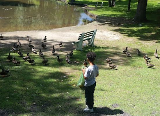 connecticut/waterbury/attraction/hamilton-park