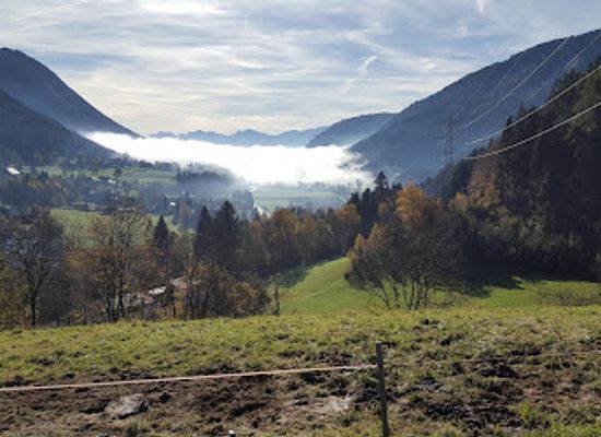 austria/carinthia/attraction/museum-of-mushrooms