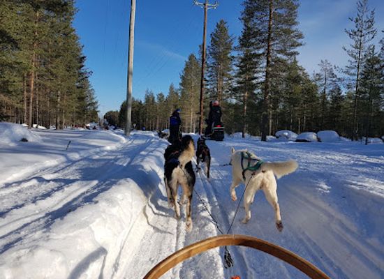 finland/lapland/attraction/lapland-husky-safaris