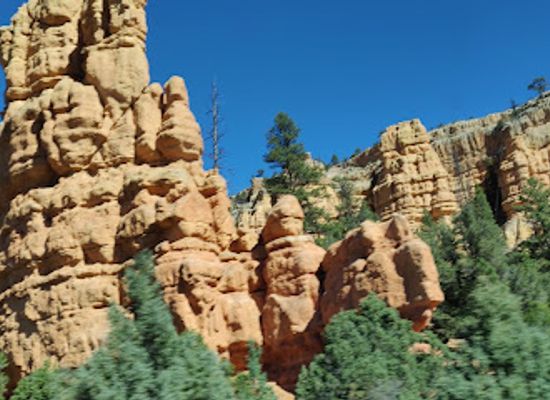 utah/bryce-canyon-city/attraction/bryce-wildlife-adventure