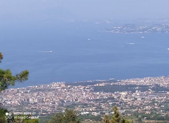 italy/herculaneum/attraction/associazione-vesuvio-natura-da-esplorare