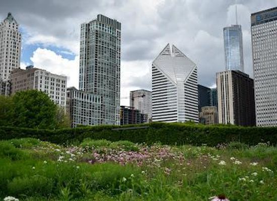 illinois/arlington-heights/attraction/lurie-garden