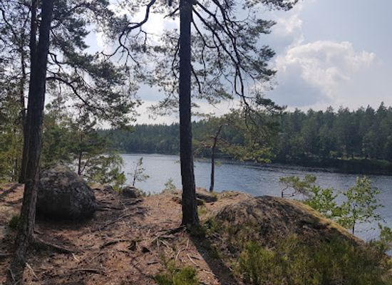 sweden/vastmanland/attraction/stora-alsjon-nature-preserve