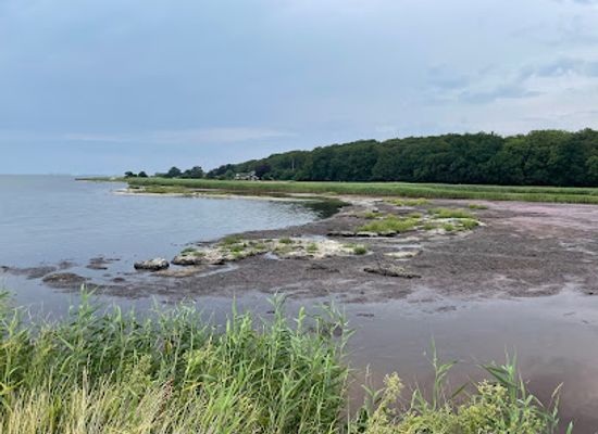 denmark/funen/attraction/vornas-havn