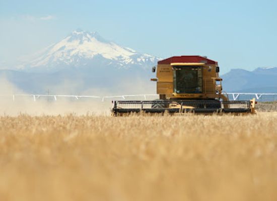 oregon/jefferson-county/attraction/mecca-grade-estate-malt