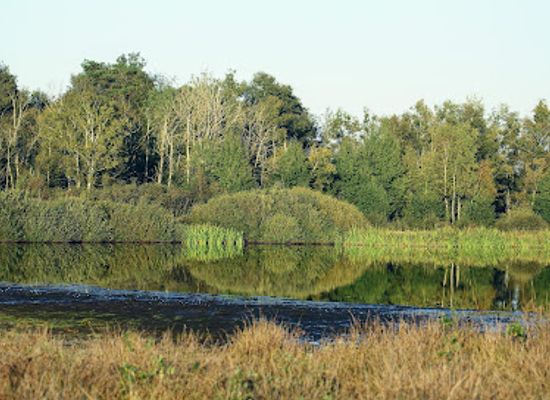 netherlands/drenthe/attraction/drents-friese-wold-national-park