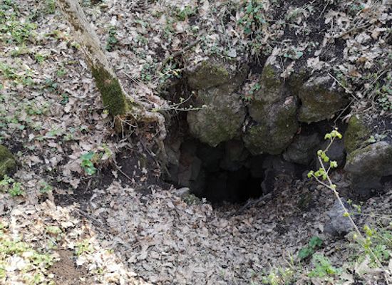hungary/central-transdanubia/attraction/nyari-barlang