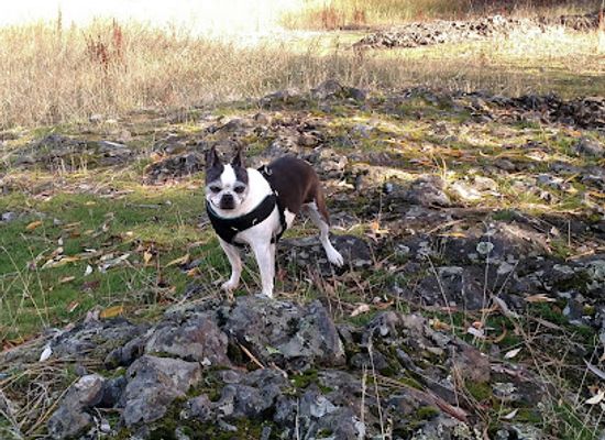 washington/spokane-river/attraction/drumheller-springs-park