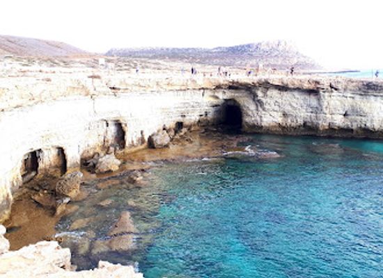 cyprus/konnoi-beach/attraction/tree-of-lovers