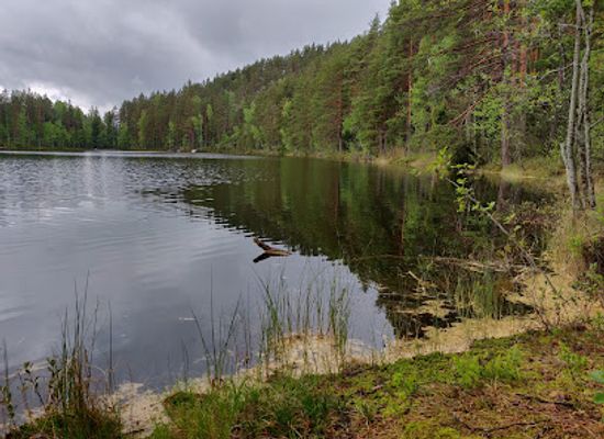 finland/repovesi-national-park/attraction/valkjarvi-booking-camping-area