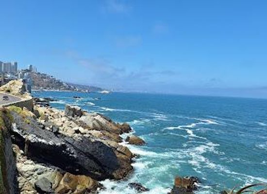 chile/vina-del-mar/attraction/roca-oceanica