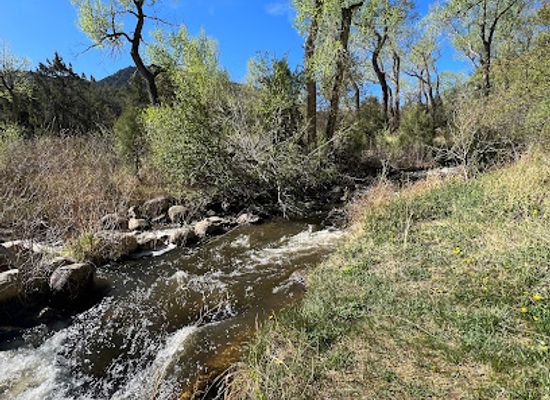 colorado/sawatch-range/attraction/picnic-area-springs-water