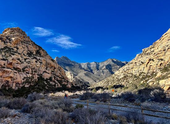 nevada/red-rock-canyon-national-conservation-area/attraction/petroglyph-wall-trailhead